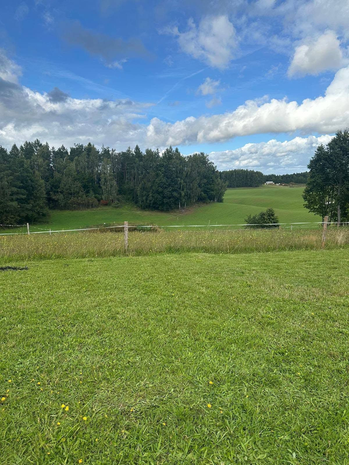 Działka budowlana blisko Wieżycy i Szymbarka
